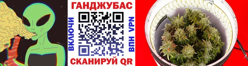 Купить закладки  Гай  Бошки марихуана гибрид 